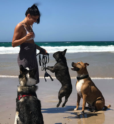 Rhiannon. Dogwalker